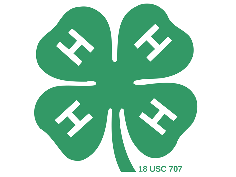 Logo for 2024 Stephenson County 4-H Fair