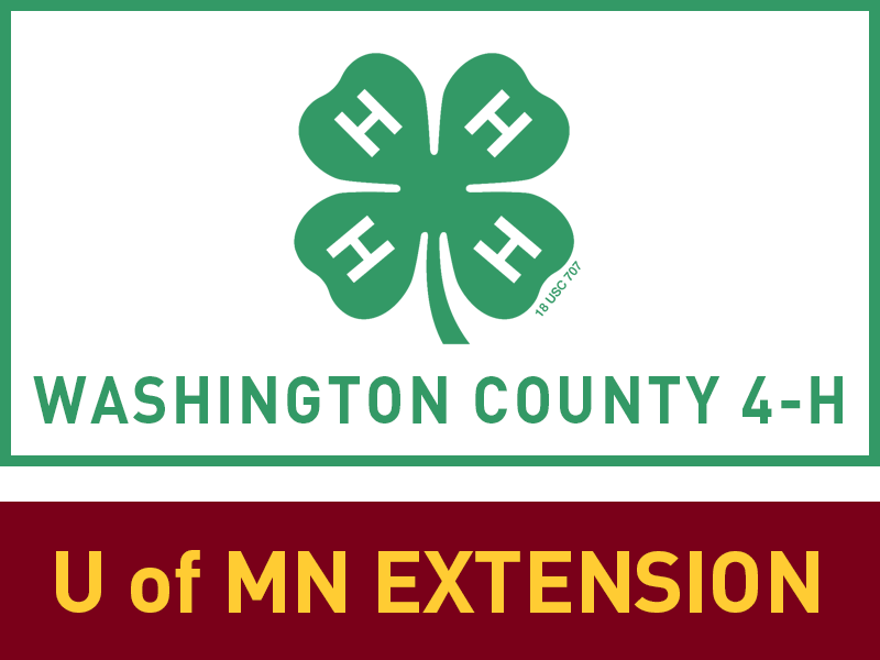 Logo for 2024 Washington County Fair