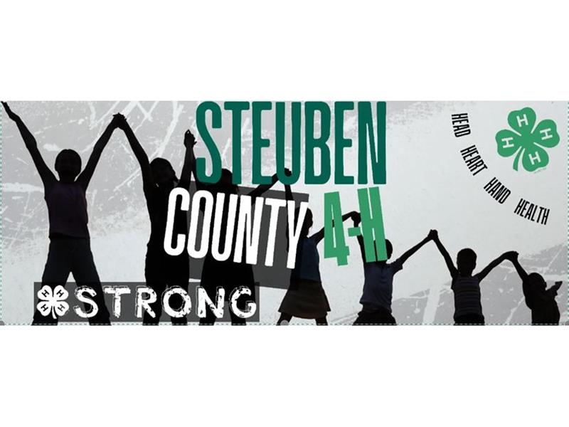 Logo for 2025 Steuben County 4-H Summer Showcase