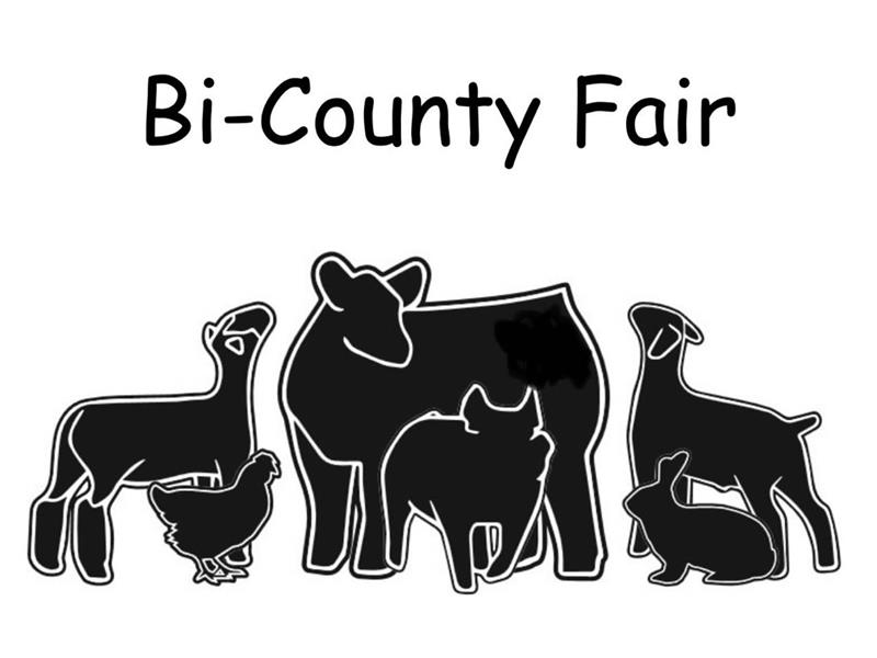 Logo for 2025 Bi-County Fair