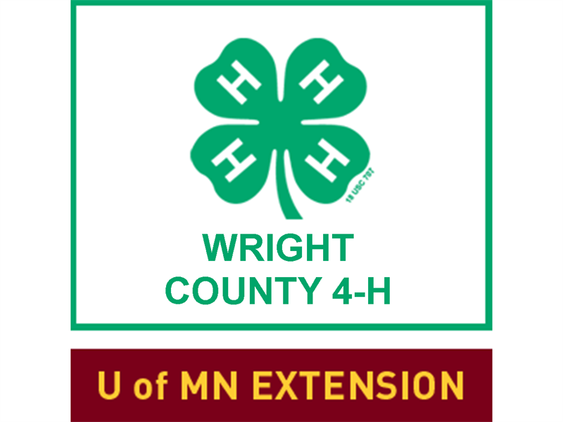 Logo for 2025 Wright County Fair