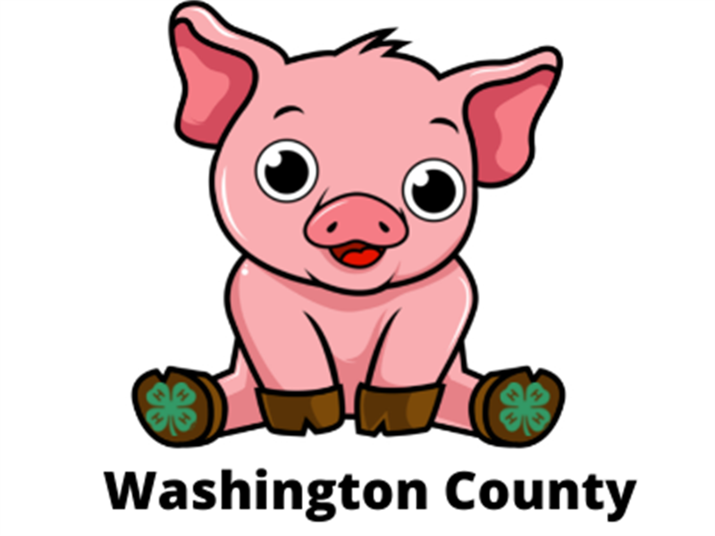 Logo for 2025 Washington County Fair